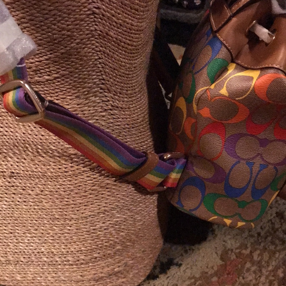 Coach rainbow signature pennie backpack - Picture 4 of 9